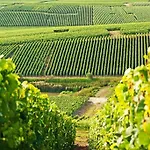 La Parenthese Champenoise